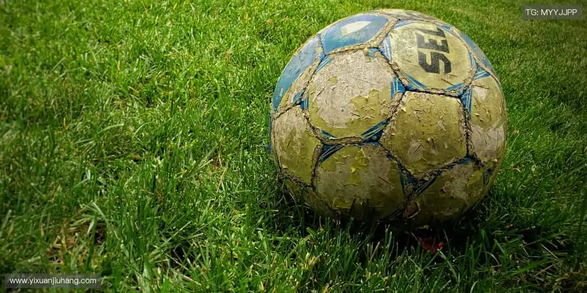 🏅赛事门票 + 独家花絮，你的观赛体验由我定义！🎫